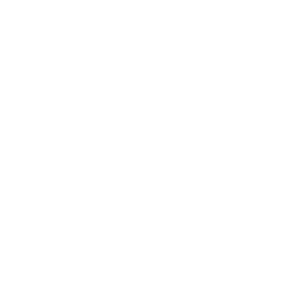 d’amelio brands
